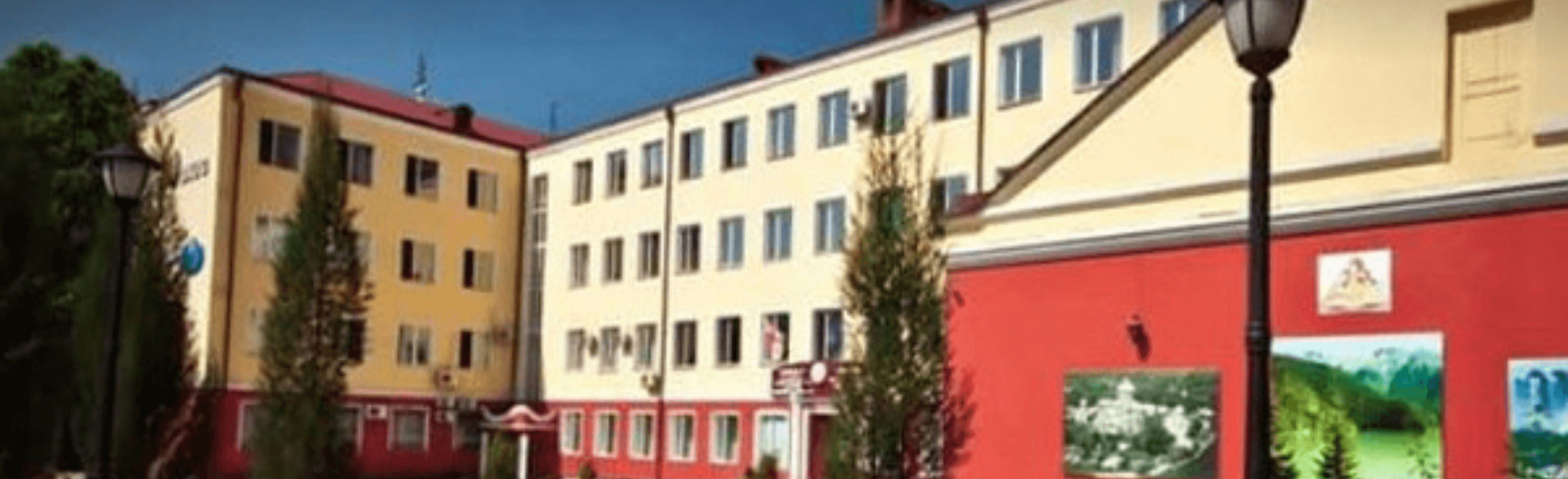 david-agmashenebeli-university-of-georgia